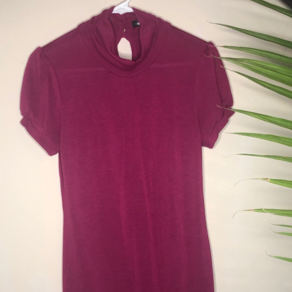 Active & Basic Burgundy Turtle Neck